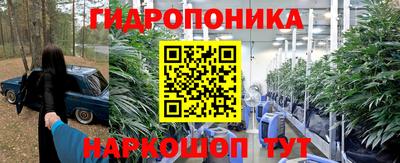 не бодяженный Будённовск