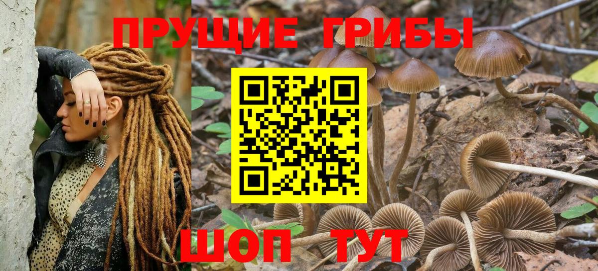 Псилоцибиновые грибы Psilocybe  Вход с VPN  Мелеуз 