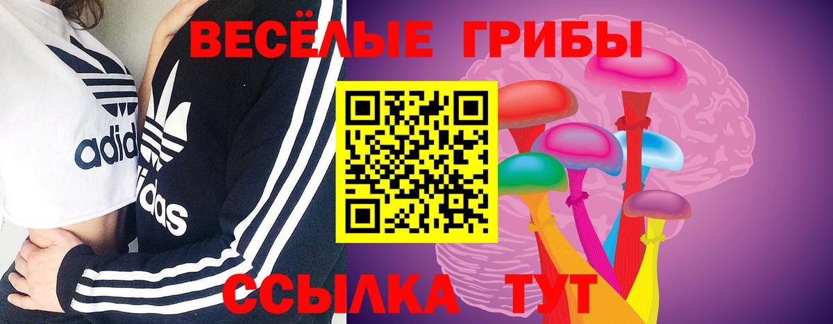 Псилоцибиновые грибы ЛСД Мелеуз